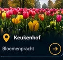Keukenhof